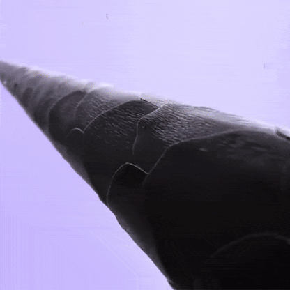 Pro Ionic Curling Brush